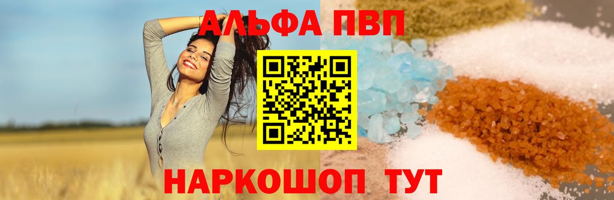 Alfa_PVP СК Электрогорск