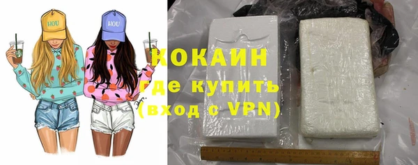 сатива Нефтекумск