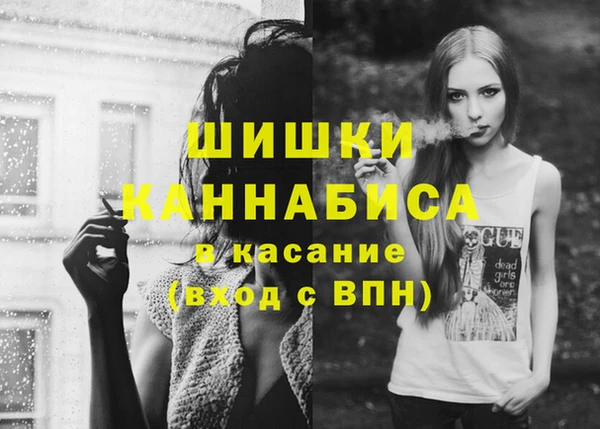 сатива Нефтекумск