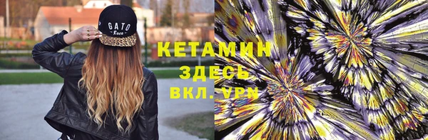 сатива Нефтекумск