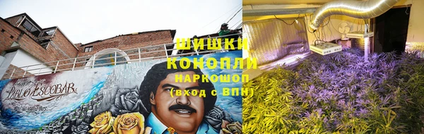 сатива Нефтекумск