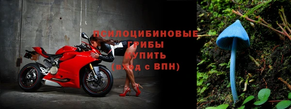 стаф Тихорецк