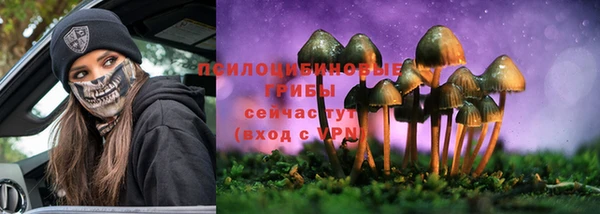 твердый Нефтегорск