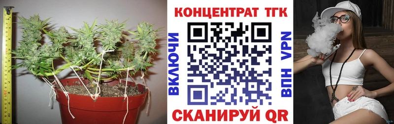 ТГК THC oil  Электрогорск 