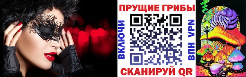 Псилоцибиновые грибы Cubensis  Электрогорск 