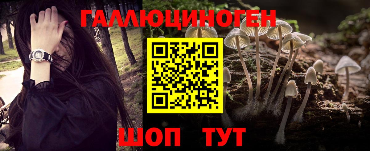 Галлюциногенные грибы мухоморы Электрогорск